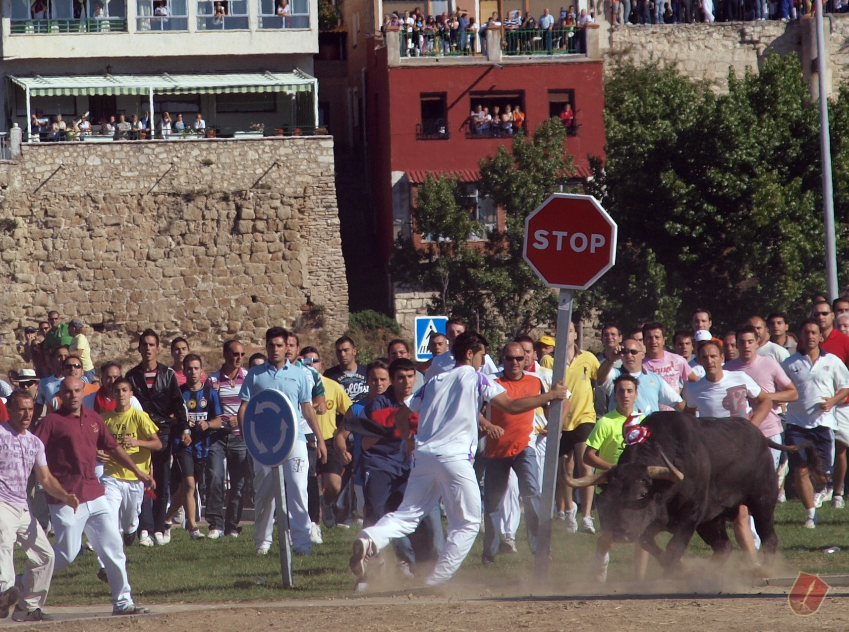 EL TORO DE LA VEGA DE TORDESILLAS Federación Taurina de Valladolid